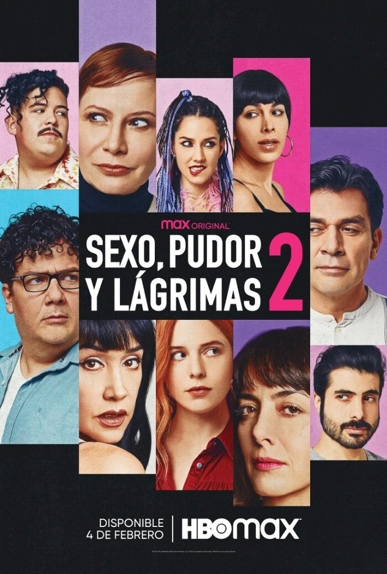Sexo, pudor y lágrimas 2 Film afişi