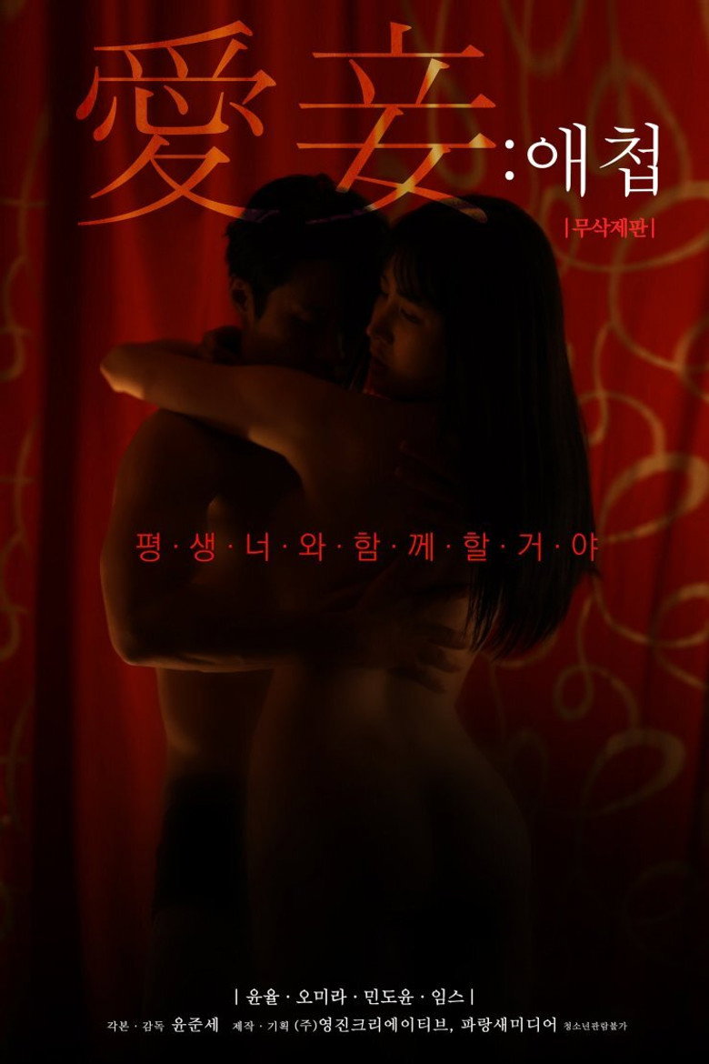 애첩 Film afişi