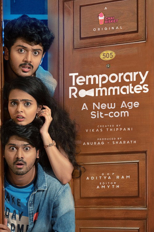 Temporary Roommates Dizi afişi