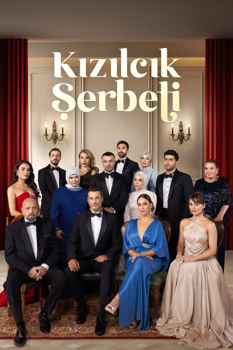 Kızılcık Şerbeti Dizi afişi