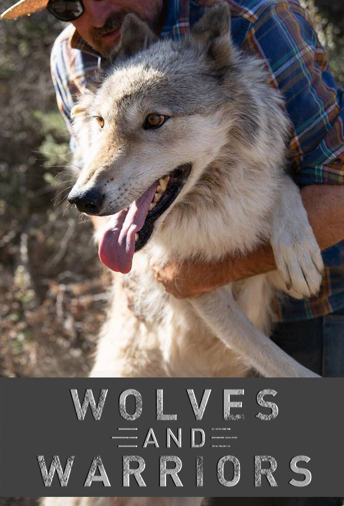 Wolves and Warriors Dizi afişi