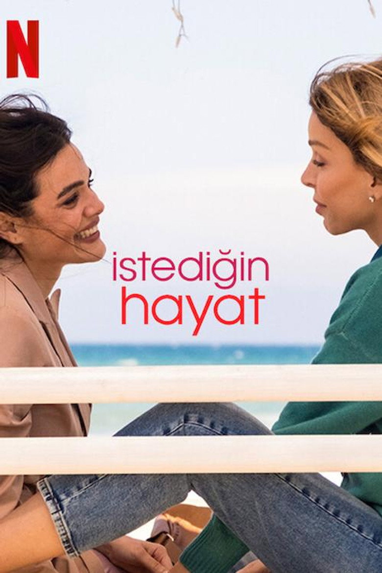 İstediğin Hayat Dizi afişi