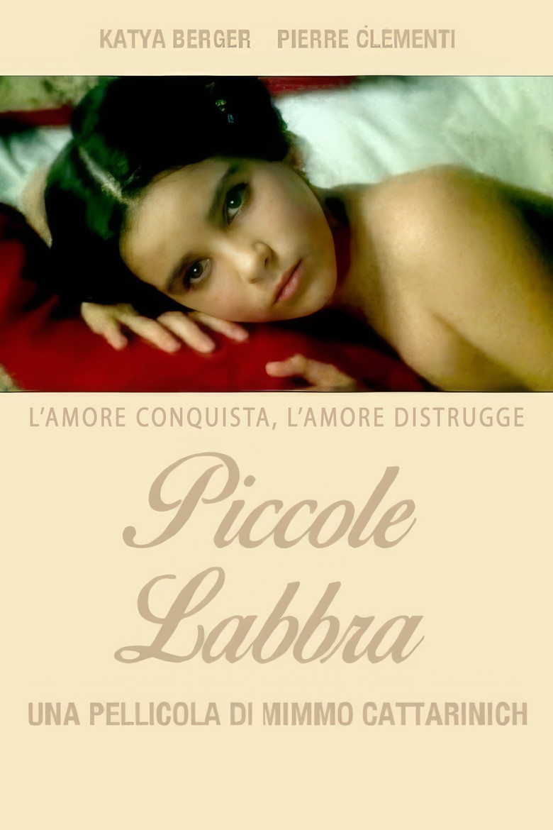 Piccole labbra Film afişi