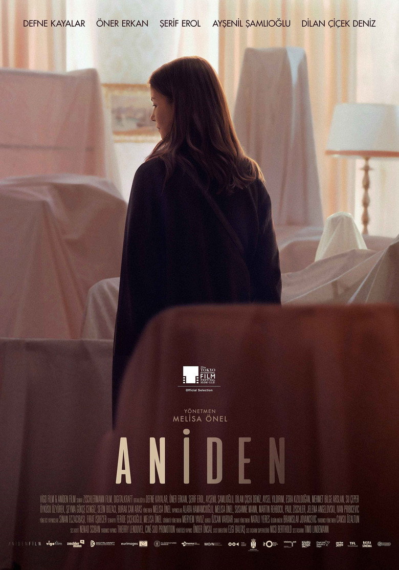 Aniden Film afişi