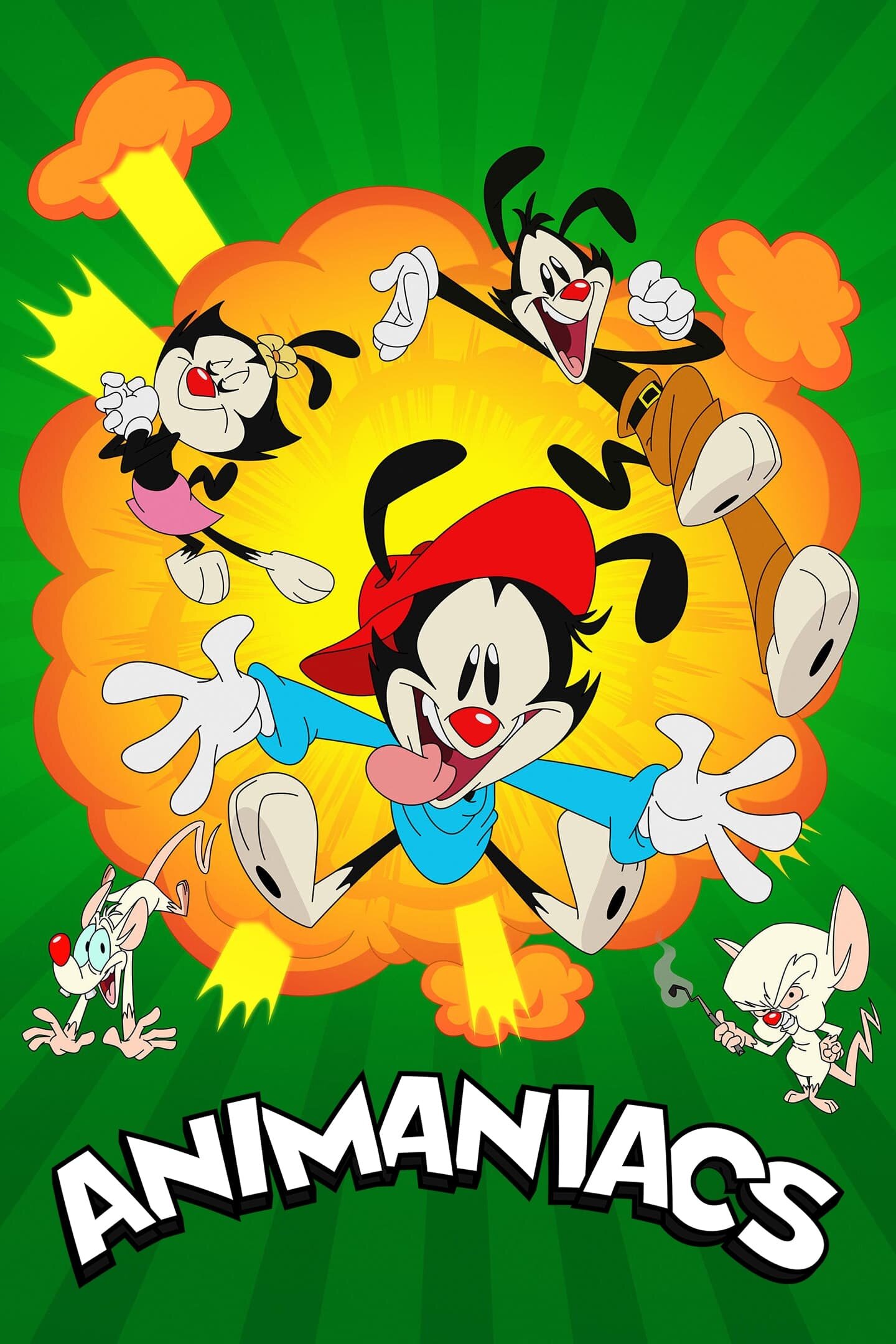 Animaniacs Dizi afişi