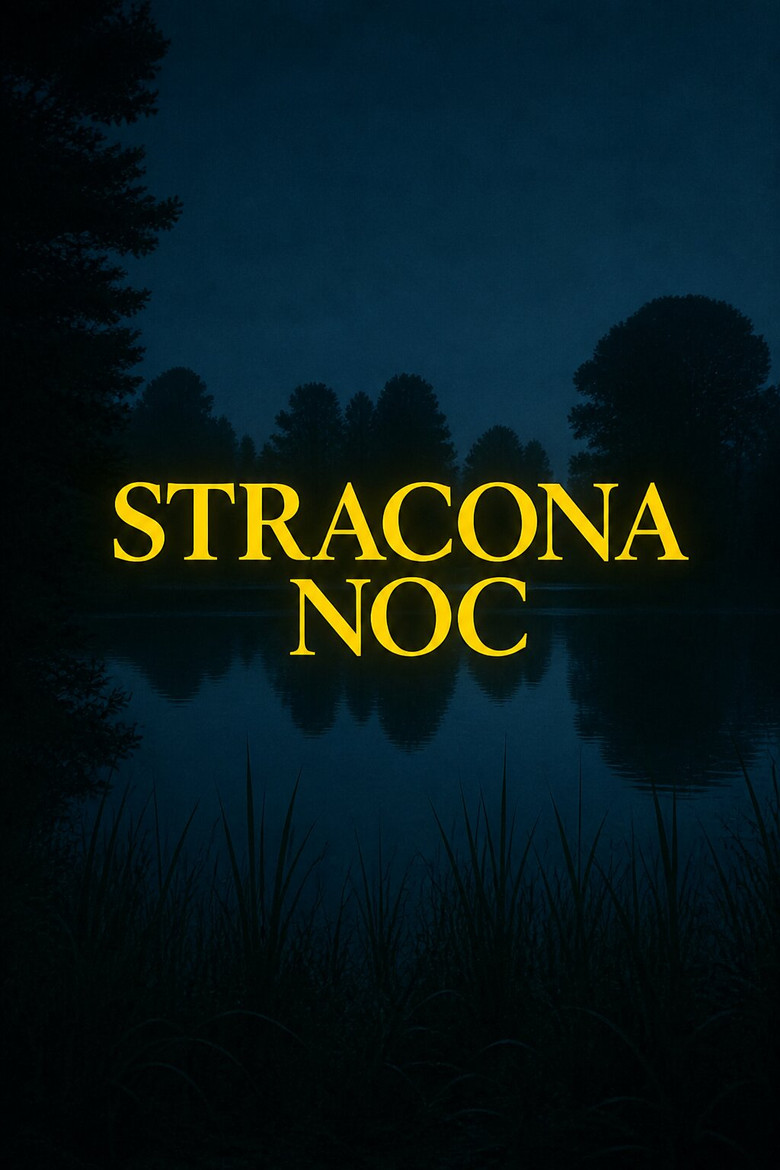 Stracona noc Film afişi