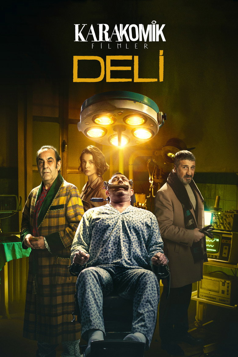 Karakomik Filmler 2: Deli Film afişi
