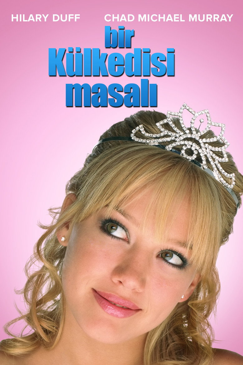 Bir Külkedisi Masalı Film afişi
