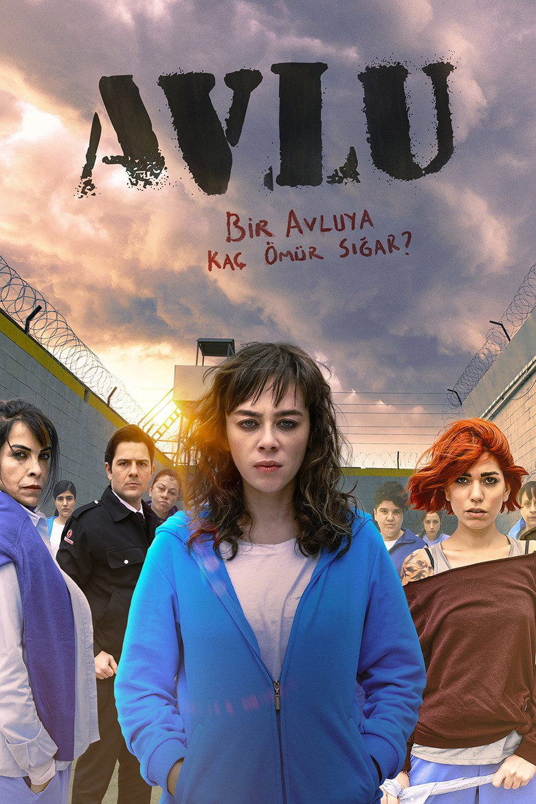 Avlu Dizi afişi