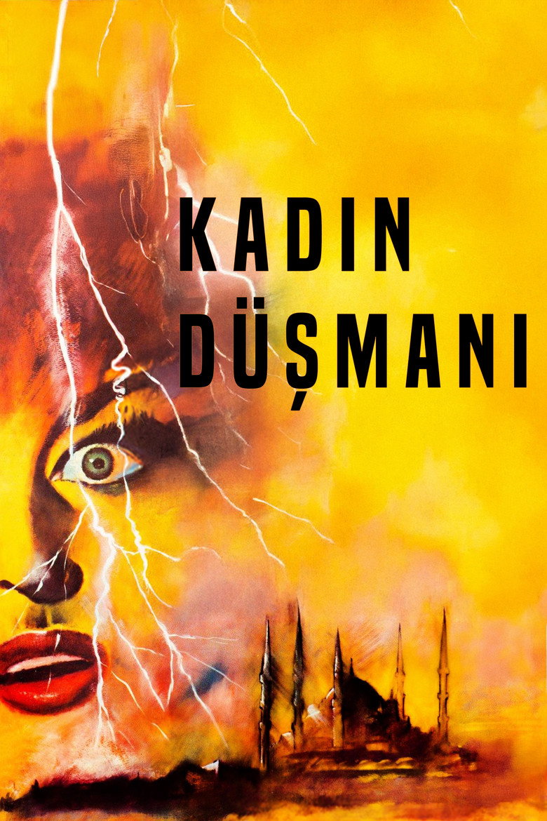 Kadın Düşmanı Film afişi