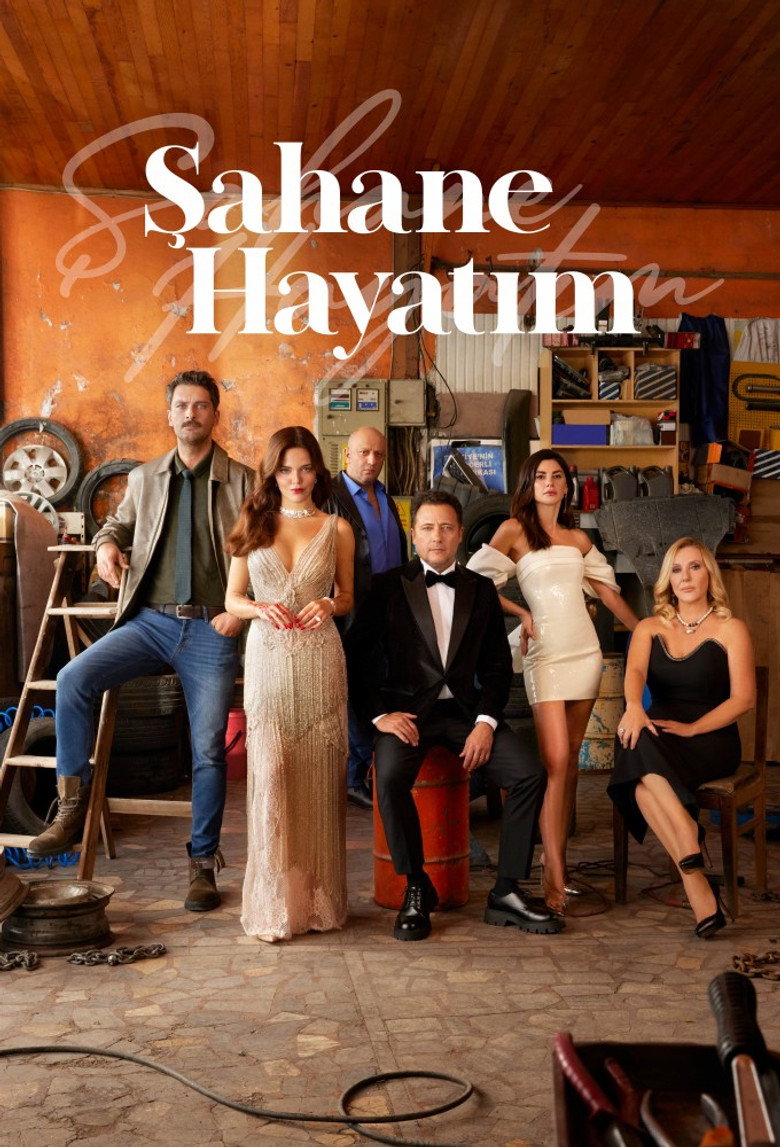 Şahane Hayatım Dizi afişi