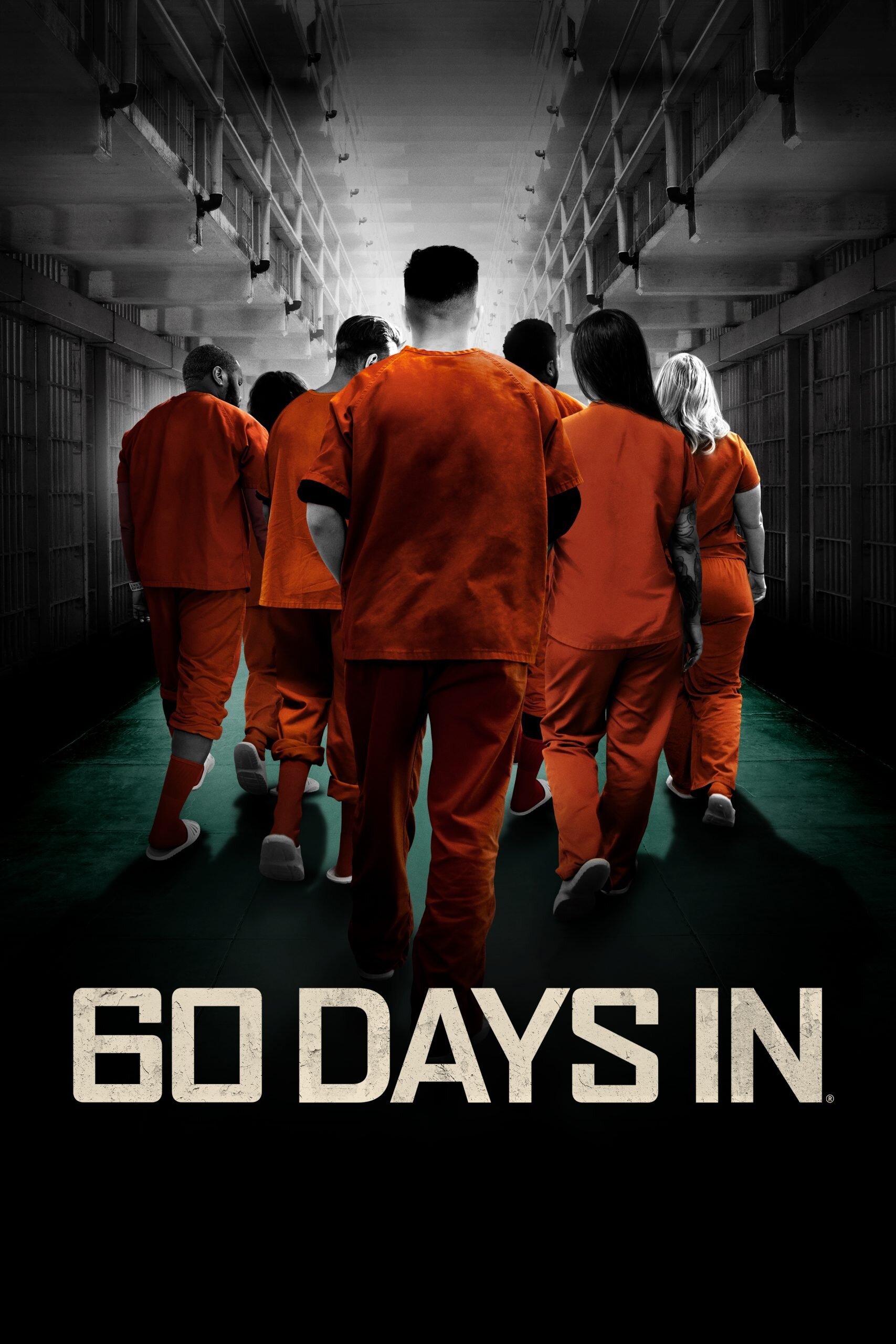 60 Days In Dizi afişi