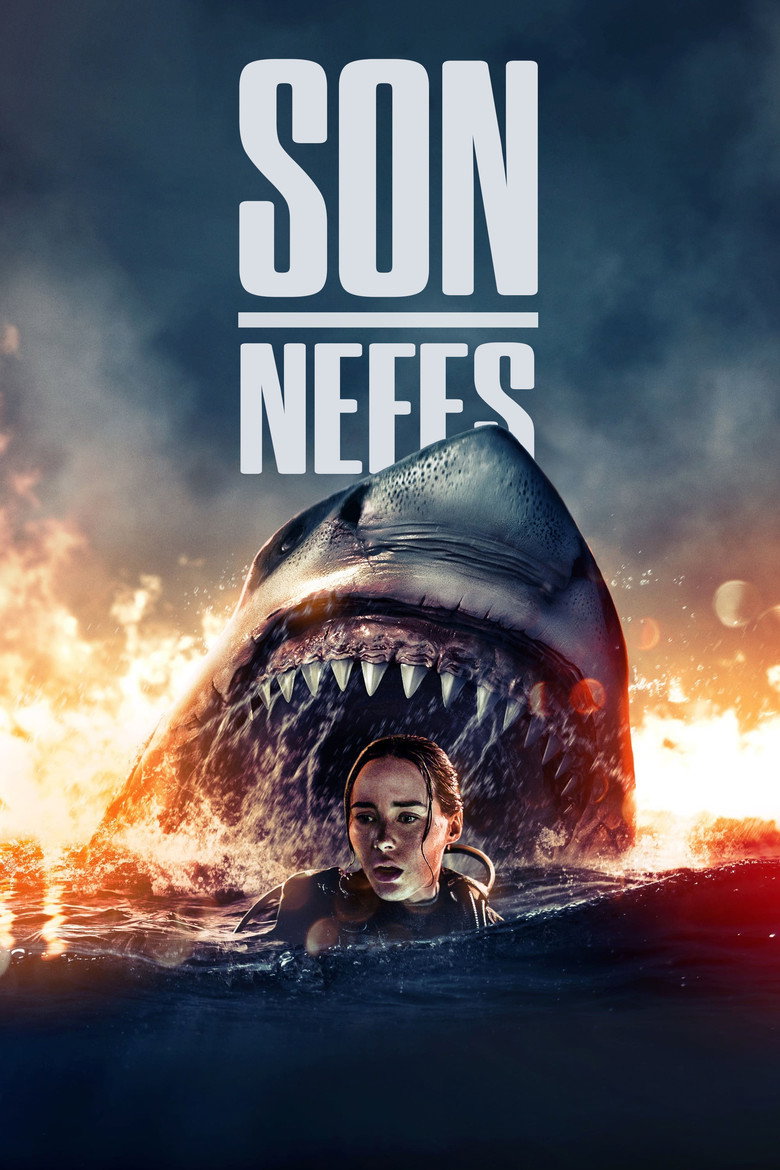 Son Nefes Film afişi