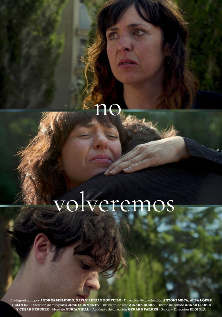 No volveremos Film afişi