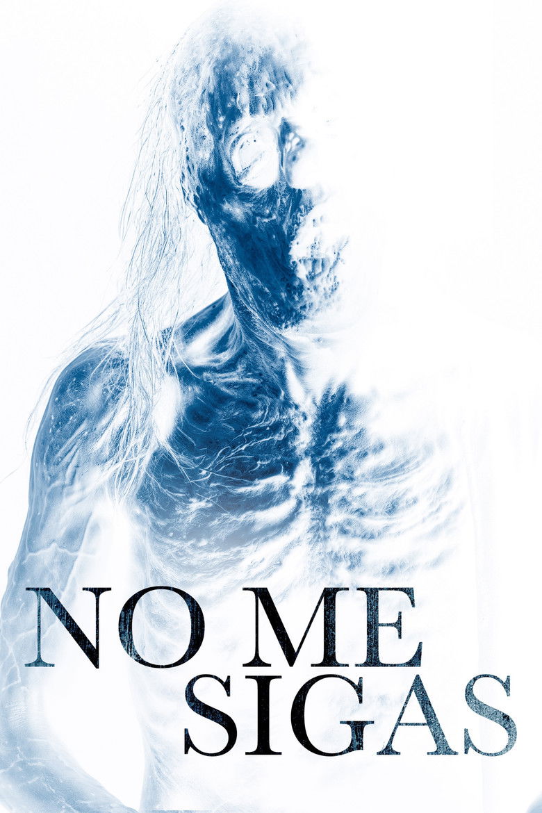 No me sigas Film afişi