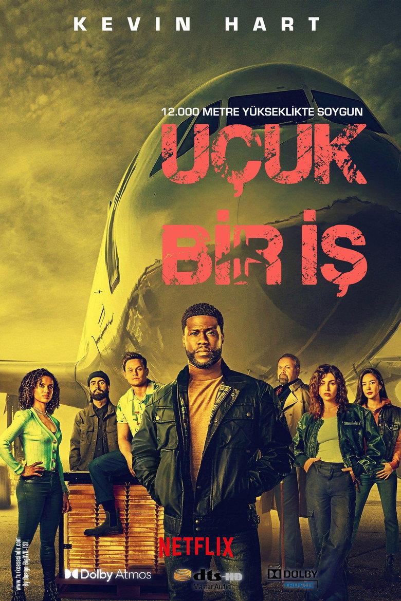 Uçuk Bir İş Film afişi