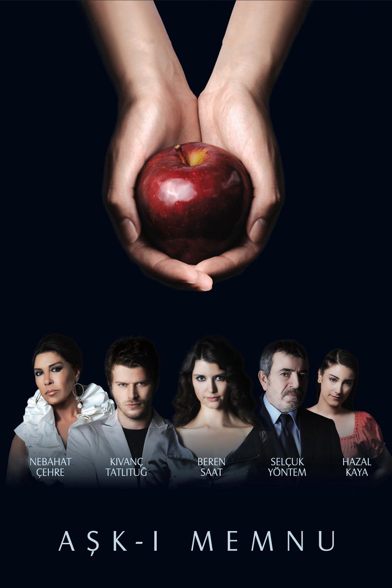 Aşk-ı Memnu Dizi afişi