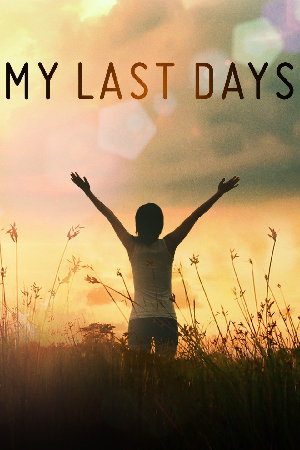 My Last Days Dizi afişi