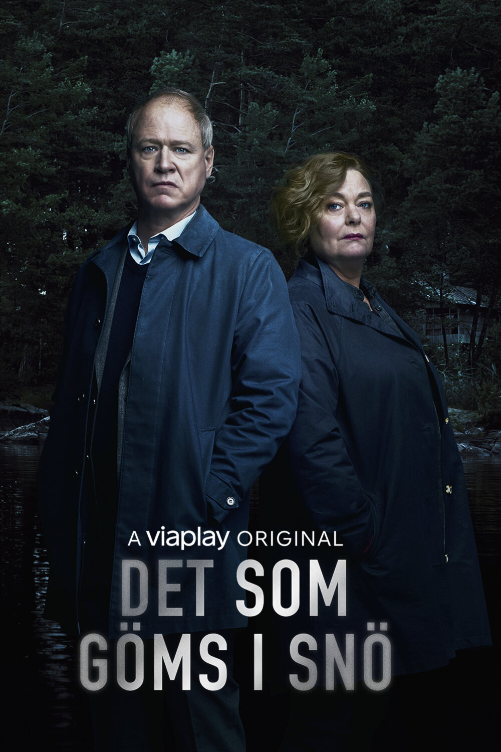 Det som göms i snö Dizi afişi