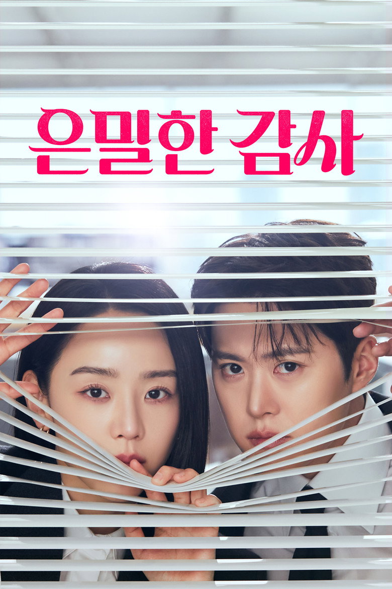 은밀한 감사 Dizi afişi