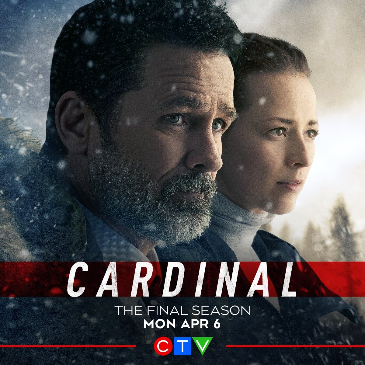 Cardinal Dizi afişi