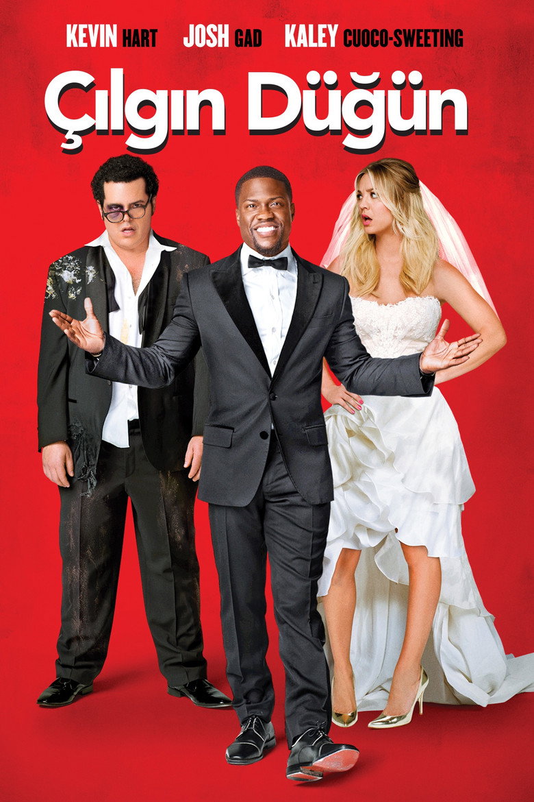 Çılgın Düğün Film afişi
