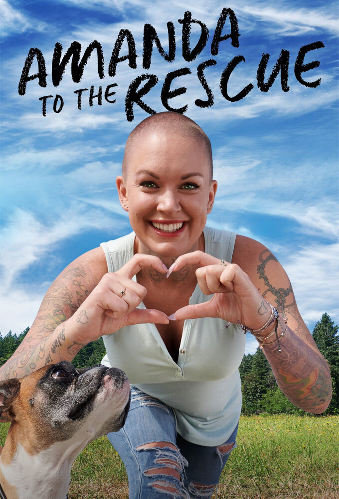Amanda to the Rescue Dizi afişi
