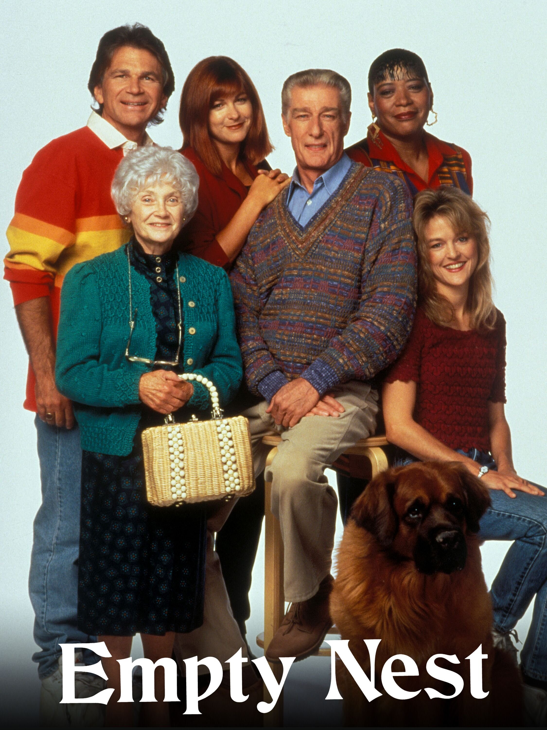 Empty Nest Dizi afişi