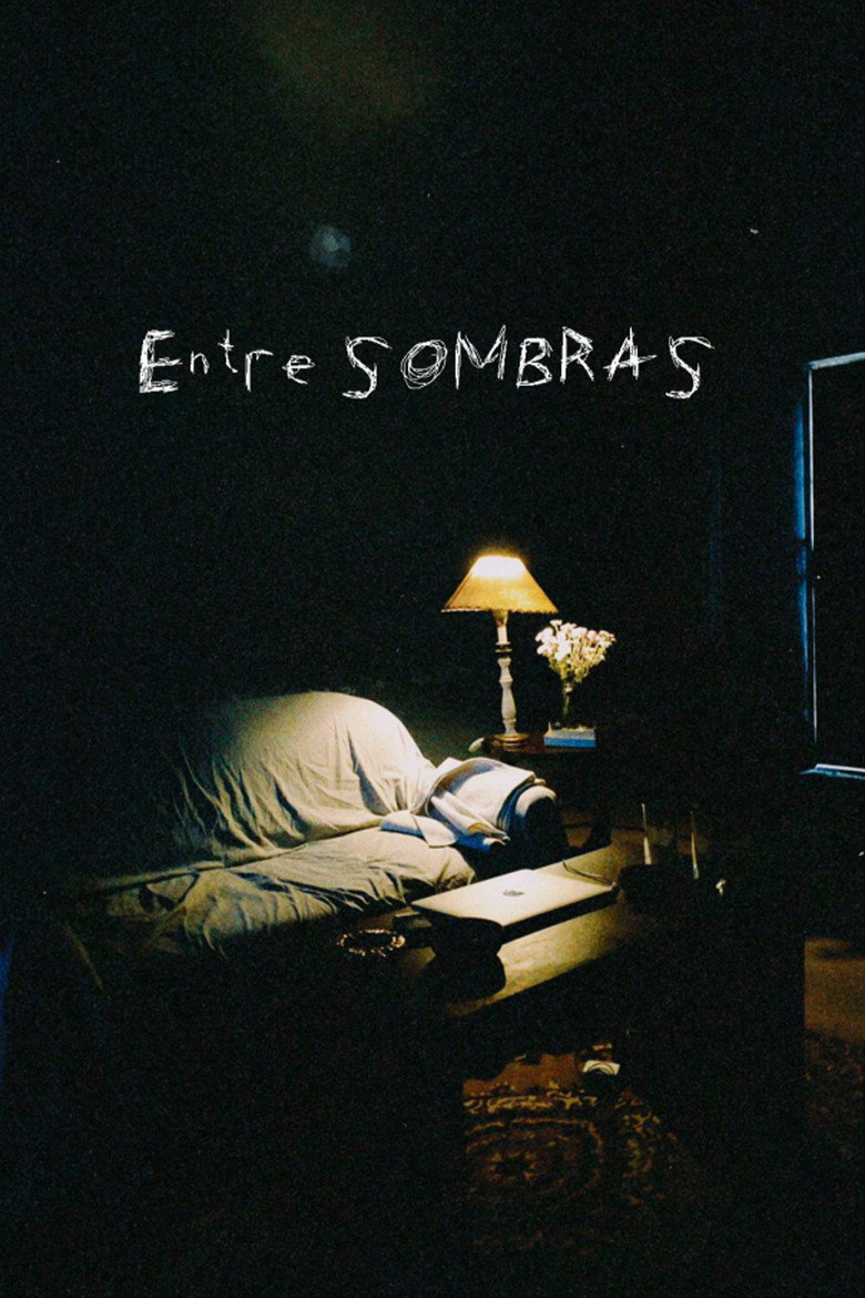 Entre sombras Film afişi