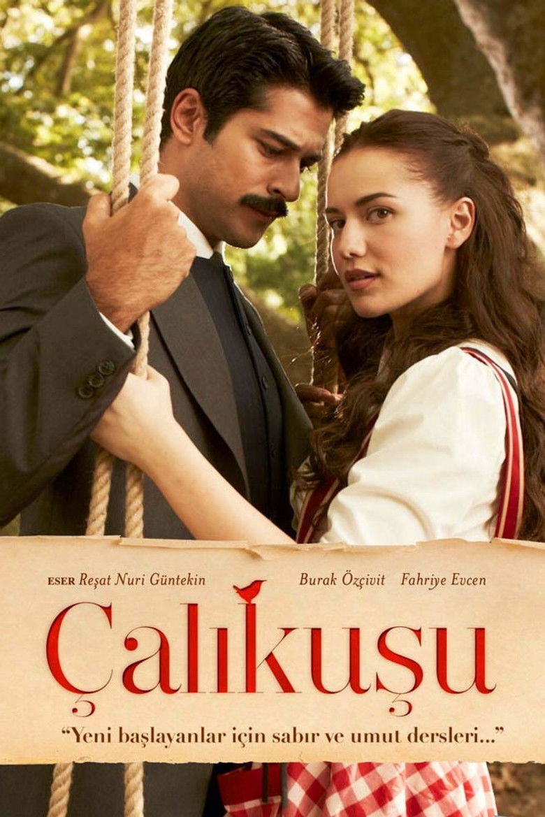 Çalıkuşu Dizi afişi