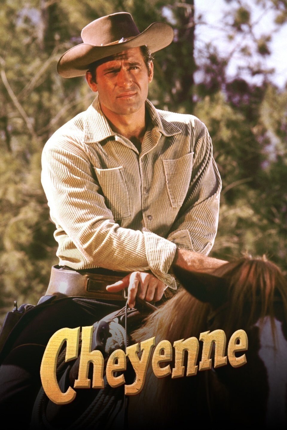 Cheyenne Dizi afişi