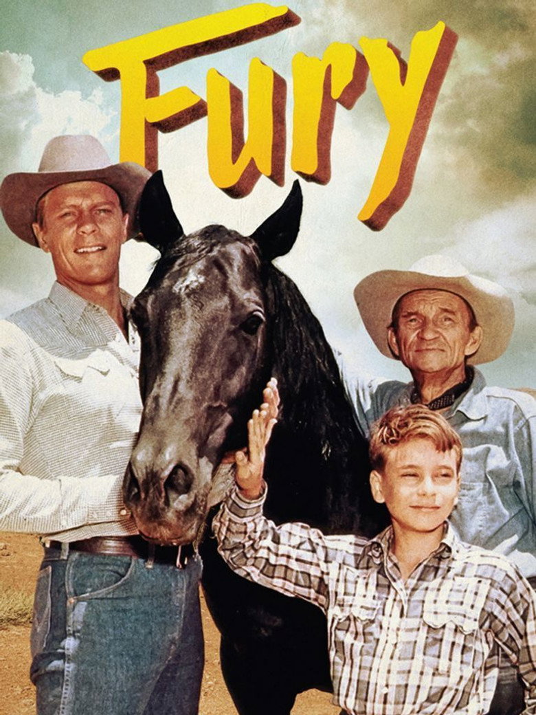 Fury Dizi afişi
