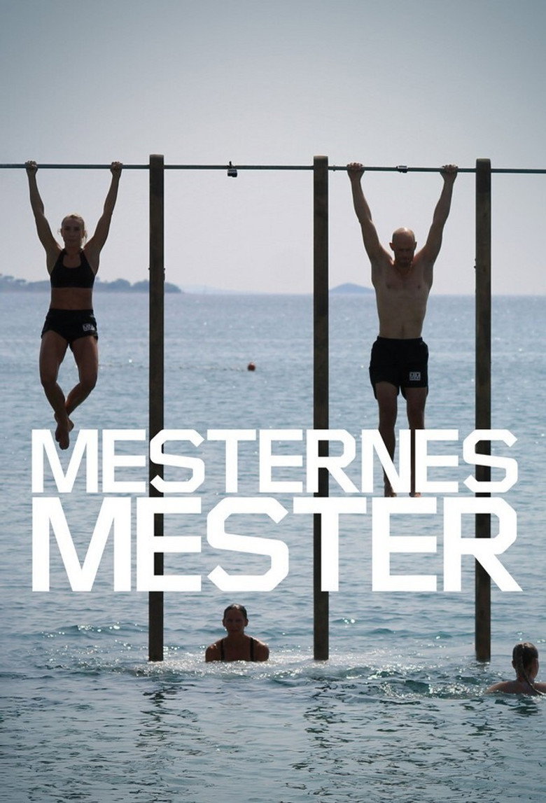 Mesternes mester Dizi afişi
