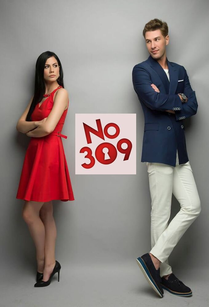 No: 309 Dizi afişi