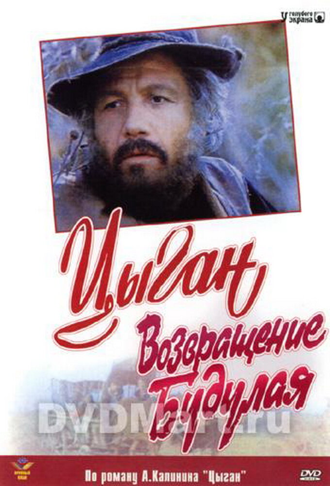Цыган Dizi afişi