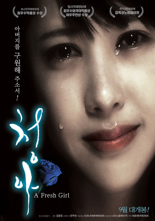 청아 Film afişi