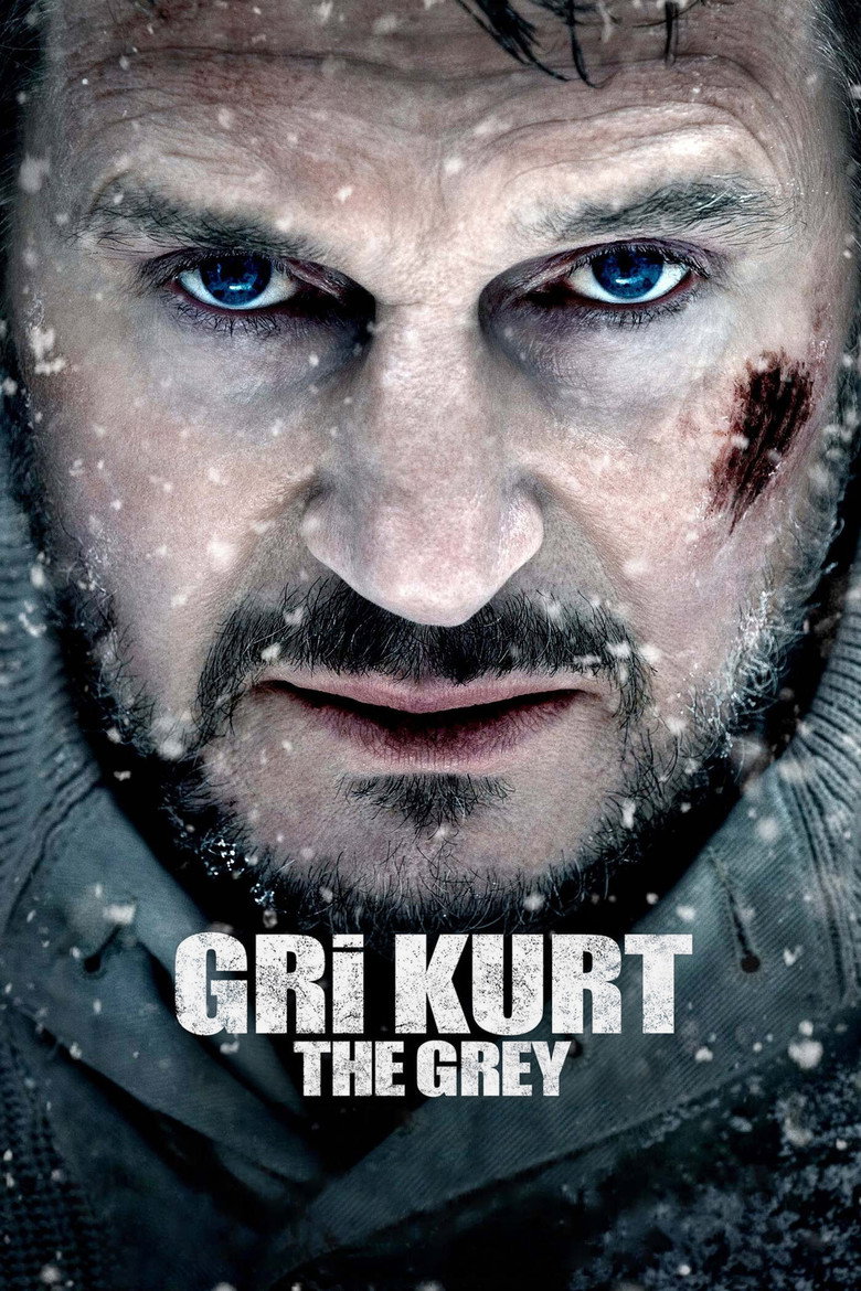 Noel Baba ve Gri Kurt Film afişi
