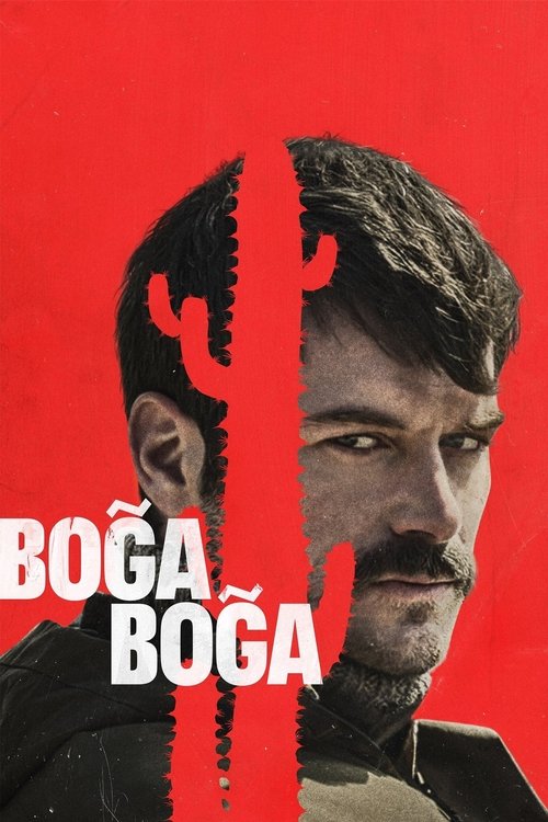 Boğa Boğa Film afişi