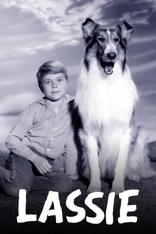 Lassie Dizi afişi