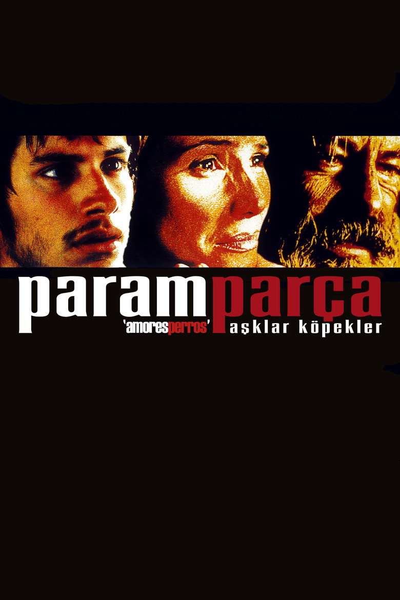 Paramparça Aşklar Köpekler Film afişi