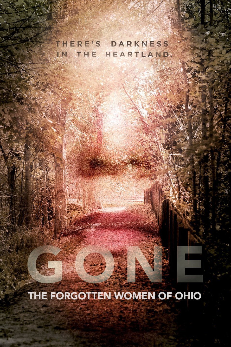 Gone: The Forgotten Women of Ohio Dizi afişi