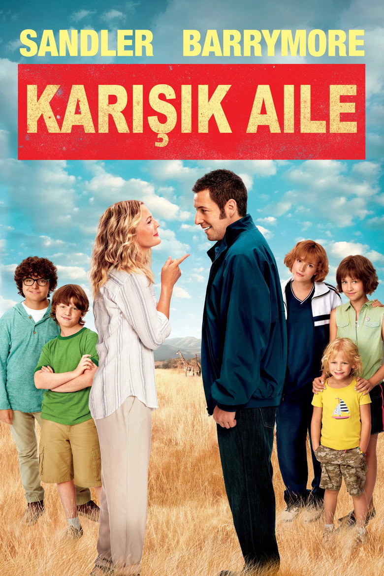 Karışık Aile Film afişi