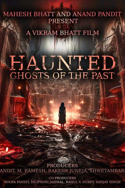 Haunted 3D: Echoes of the Past Film afişi
