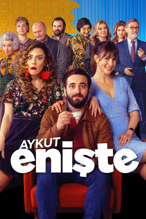 Aykut Enişte Film afişi