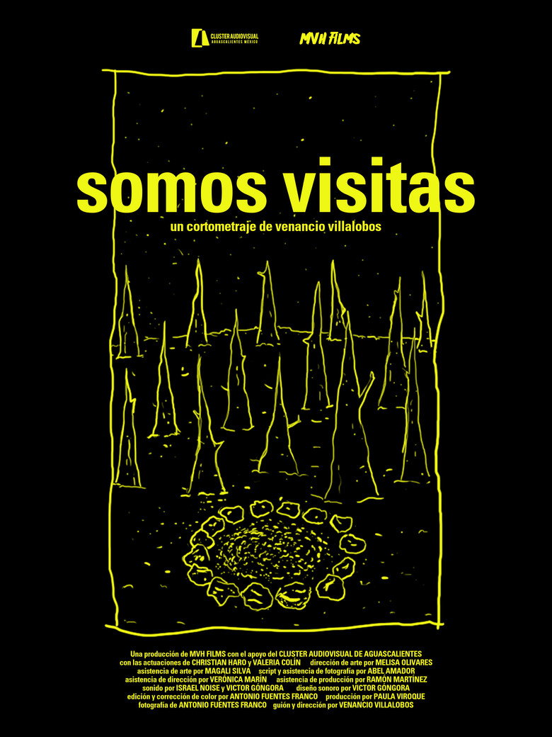Somos visitas Film afişi