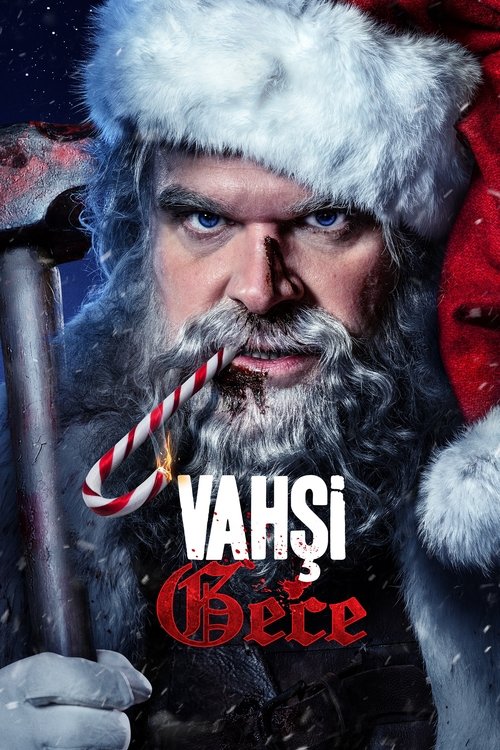Vahşi Gece Film afişi