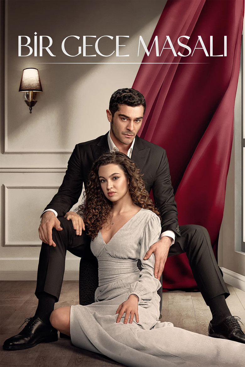 Bir Gece Masalı Dizi afişi
