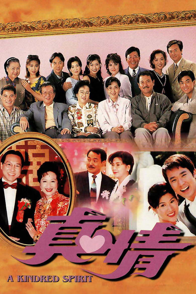 真情 Dizi afişi