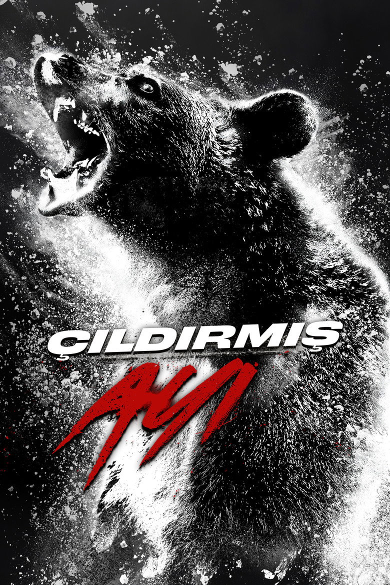 Çıldırmış Ayı Film afişi