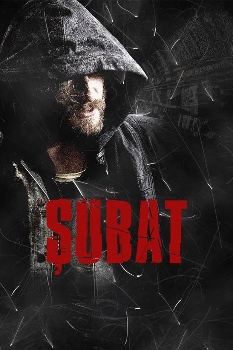 Şubat Dizi afişi